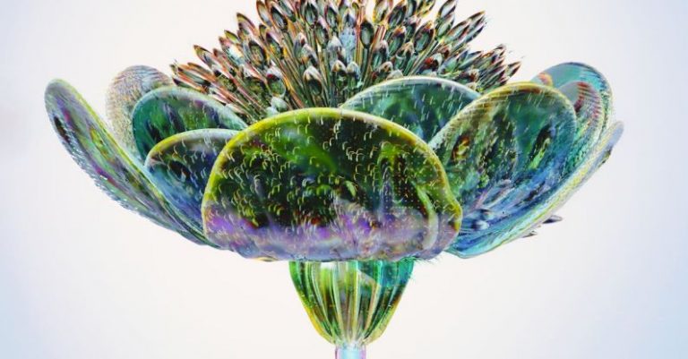 AI Breakthroughs - An artist’s illustration of artificial intelligence (AI). This image depicts how AI could be used in the field of sustainability from biodiversity to climate. It was created by Nidia Dias ...